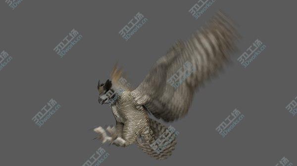 images/goods_img/20210312/3D Great Horned Owl Animated model/3.jpg